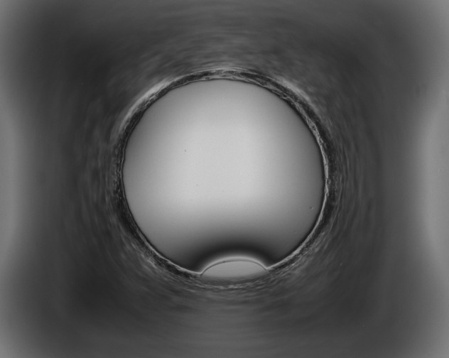 X0000086961359200704161114