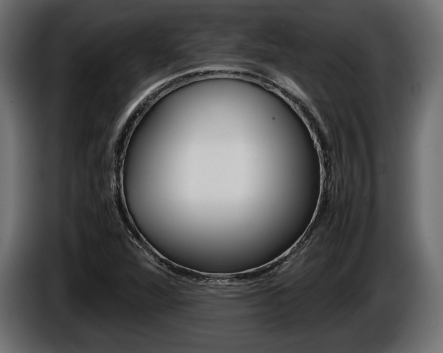 X0000086961360200704161114