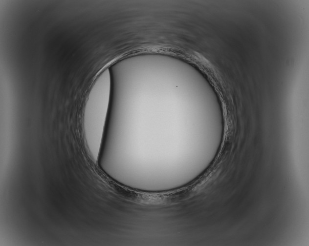 X0000086961361200704161114