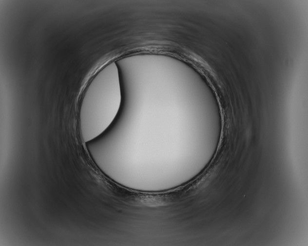 X0000086961362200704161114