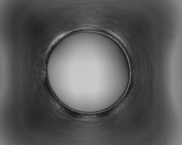 X0000086961363200704161114