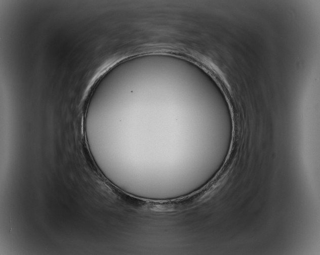 X0000086961365200704161114