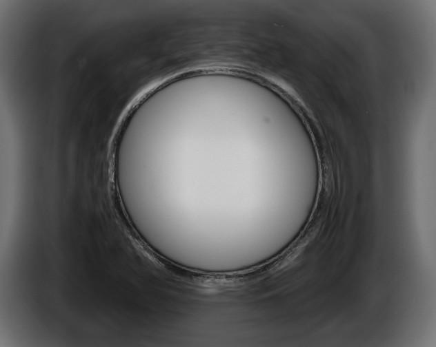 X0000086961366200704161114