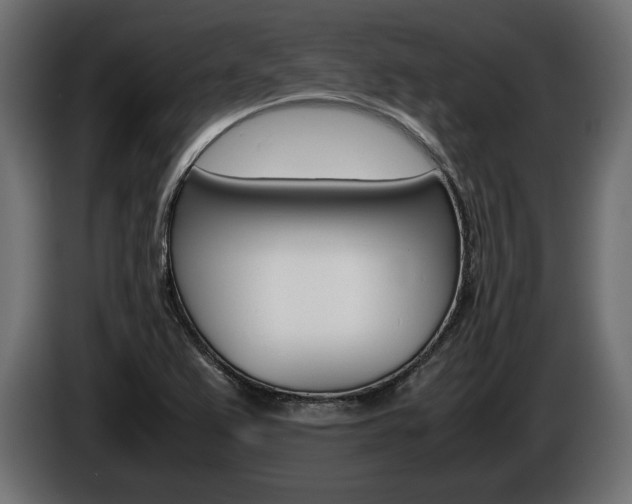 X0000086961367200704161114