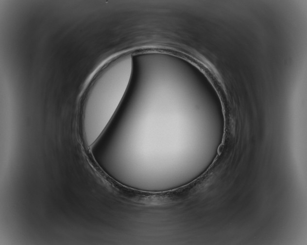X0000086961368200704161114