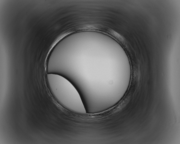 X0000086961370200704161114