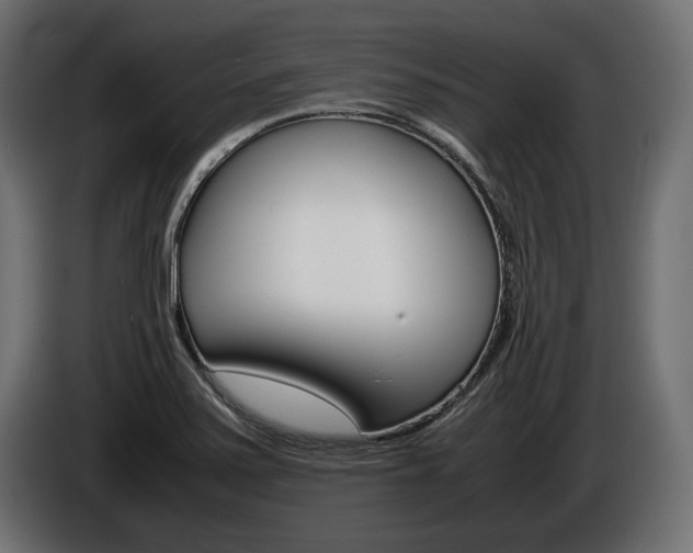 X0000086961371200704161114