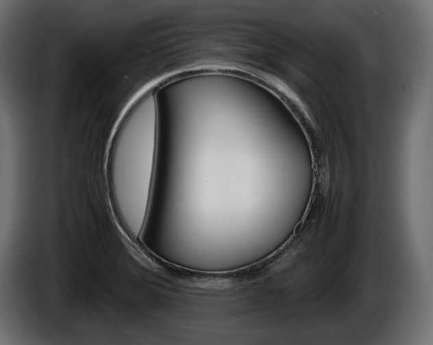 X0000086961372200704161114