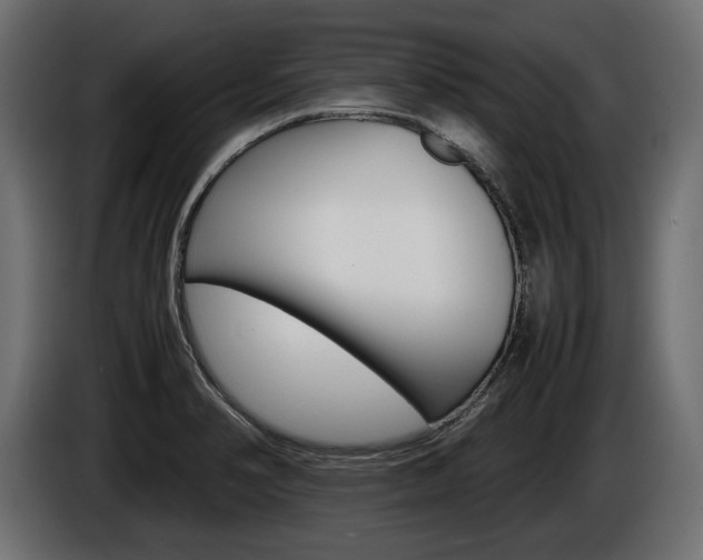 X0000086961374200704161114