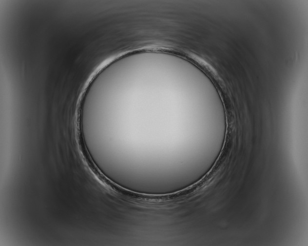 X0000086961375200704161114