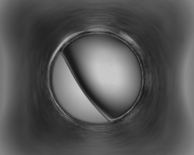 X0000086961376200704161114