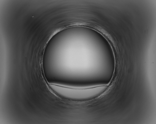 X0000086961377200704161114