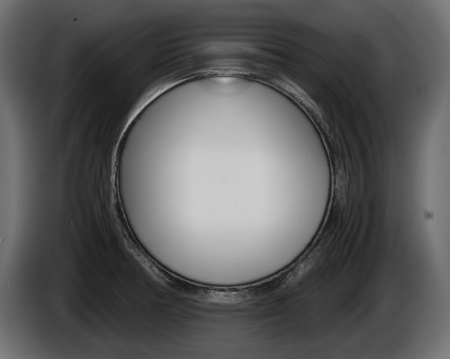 X0000086961378200704161114