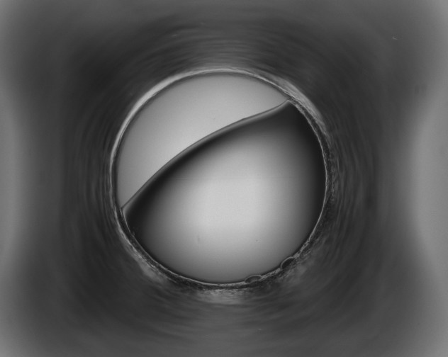 X0000086961380200704161114
