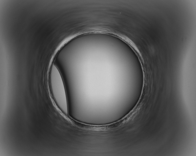 X0000086961381200704161114