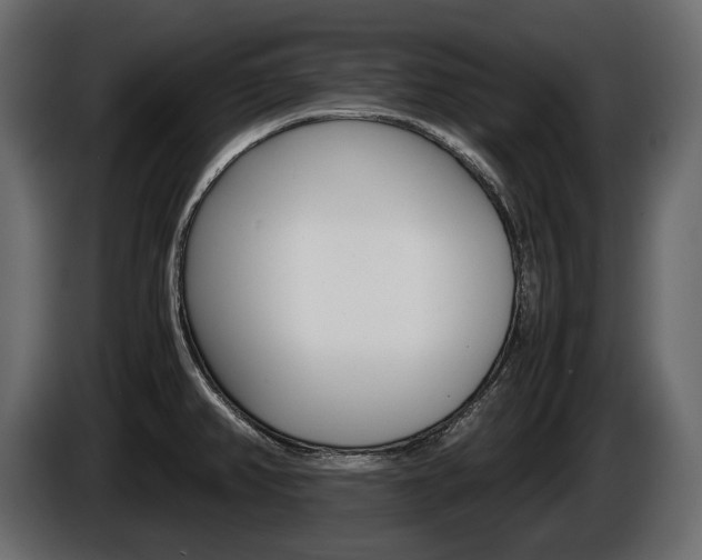 X0000086961382200704161114