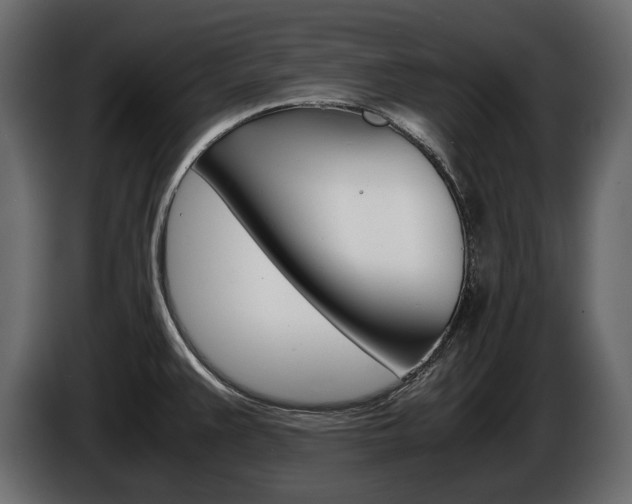 X0000086961383200704161114