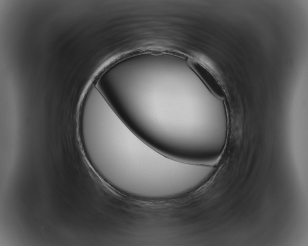 X0000086961384200704161114