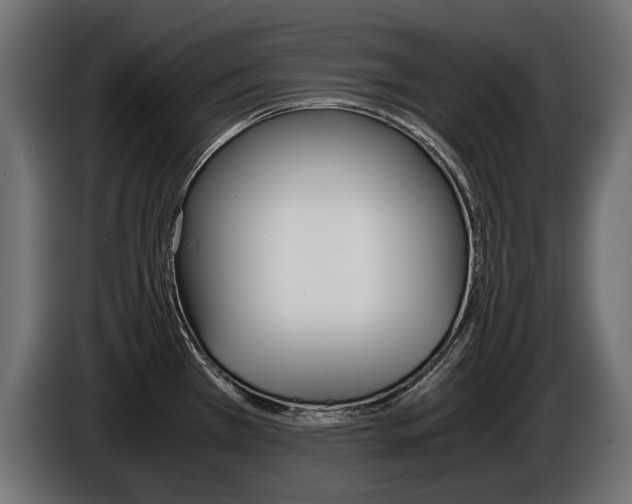 X0000086961385200704161114