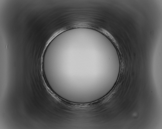 X0000086961386200704161114