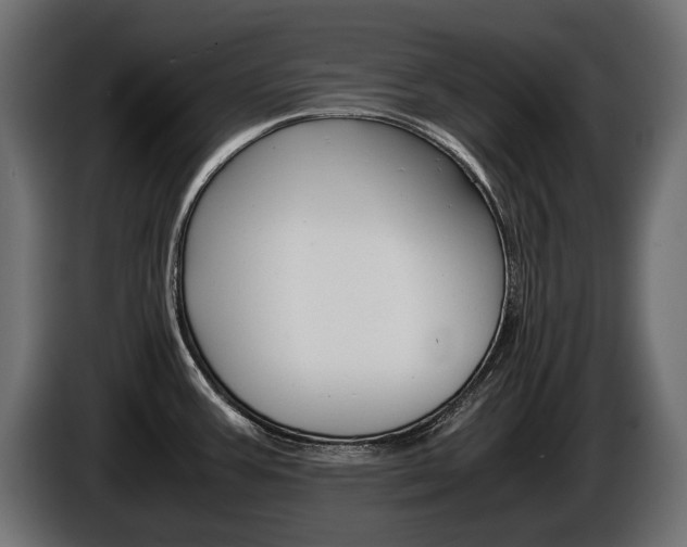 X0000086961387200704161114