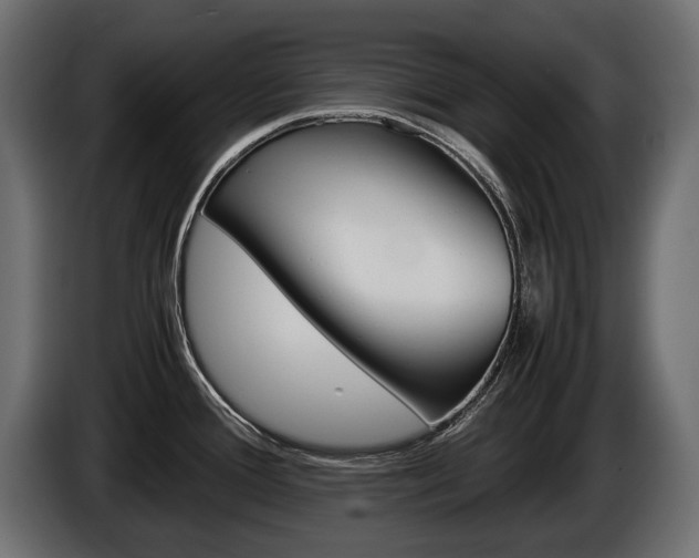 X0000086961388200704161114