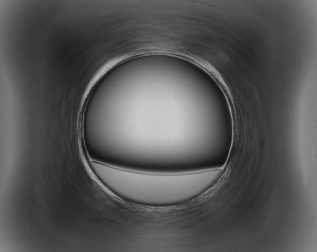 X0000086961389200704161114