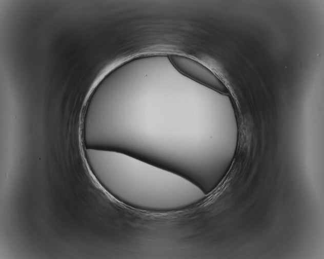 X0000086961390200704161114