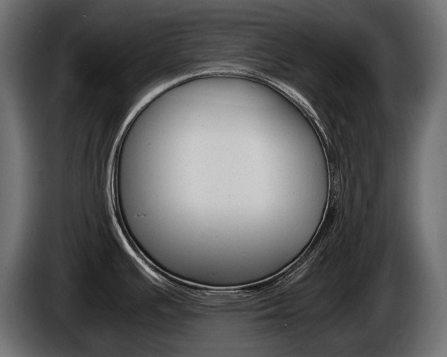 X0000086961391200704161114