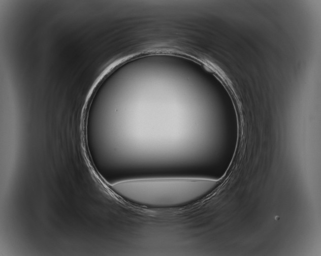 X0000086961392200704161114