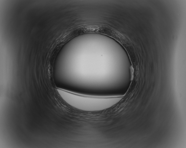 X0000086961394200704161113