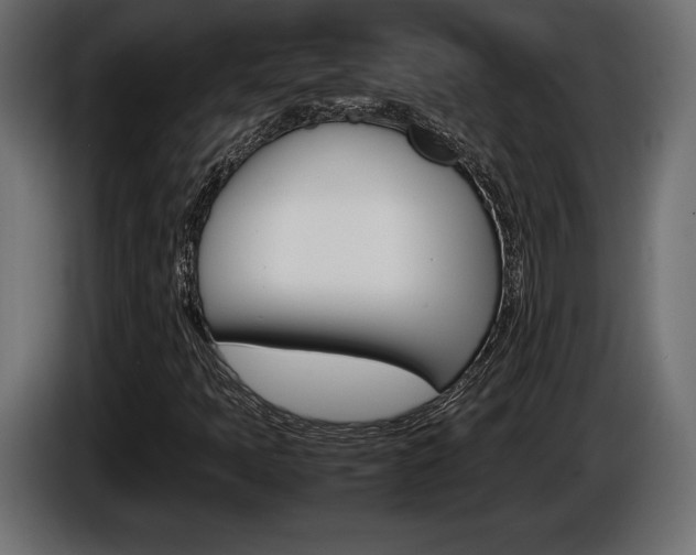 X0000086961397200704161113