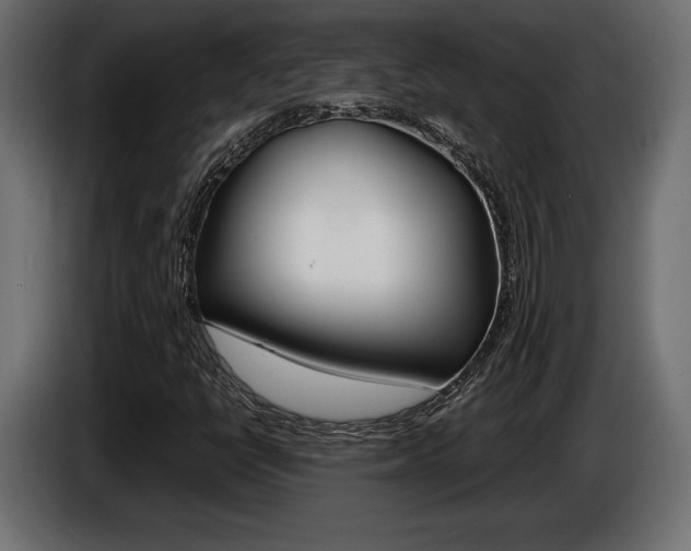X0000086961398200704161113