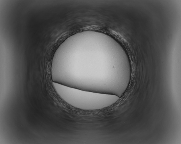 X0000086961399200704161113
