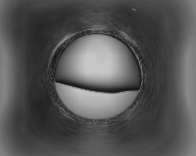 X0000086961400200704161113