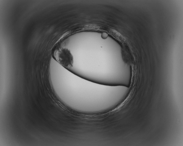 X0000086961401200704161113