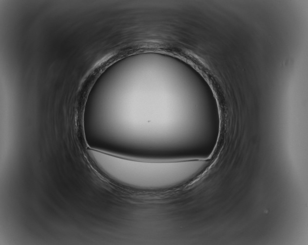X0000086961402200704161113