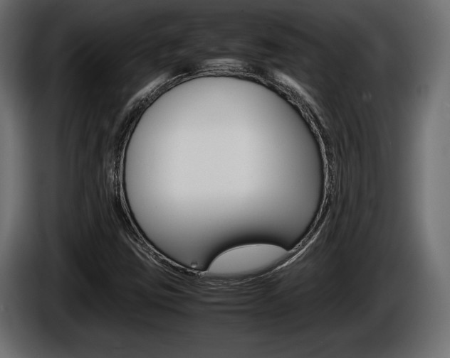 X0000086961403200704161113