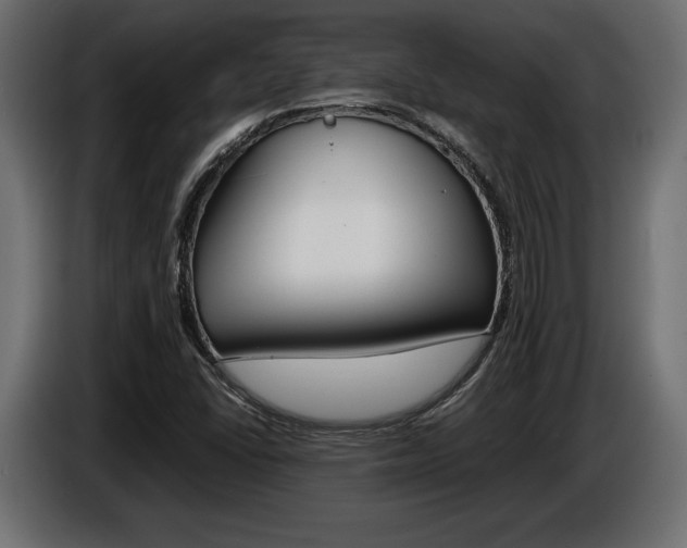 X0000086961406200704161113