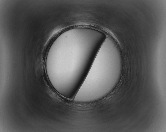 X0000086961408200704161113