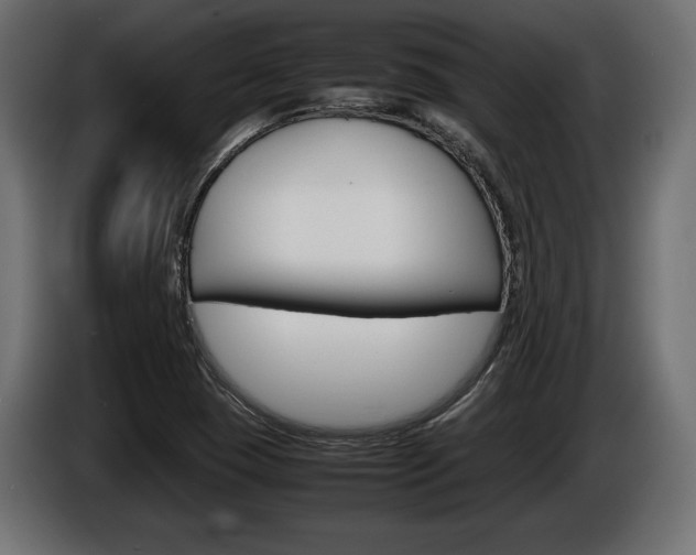 X0000086961409200704161113