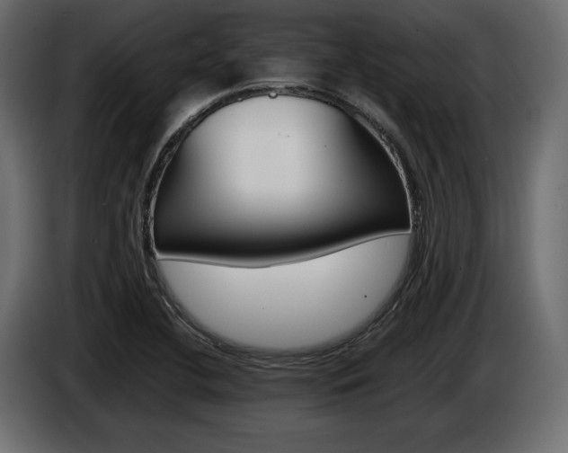 X0000086961412200704161113