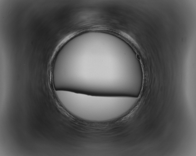 X0000086961413200704161114