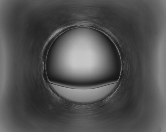 X0000086961414200704161114