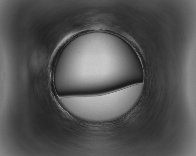 X0000086961416200704161114