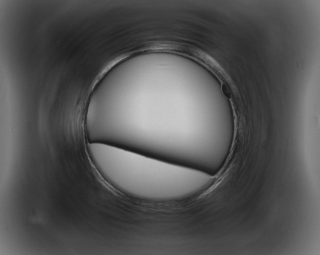 X0000086961417200704161114
