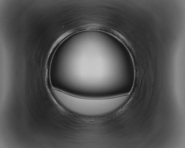 X0000086961418200704161114