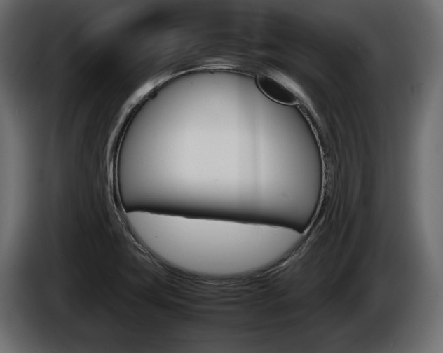 X0000086961419200704161114