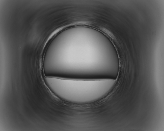 X0000086961420200704161114