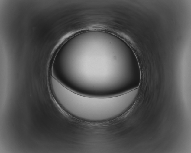 X0000086961422200704161114